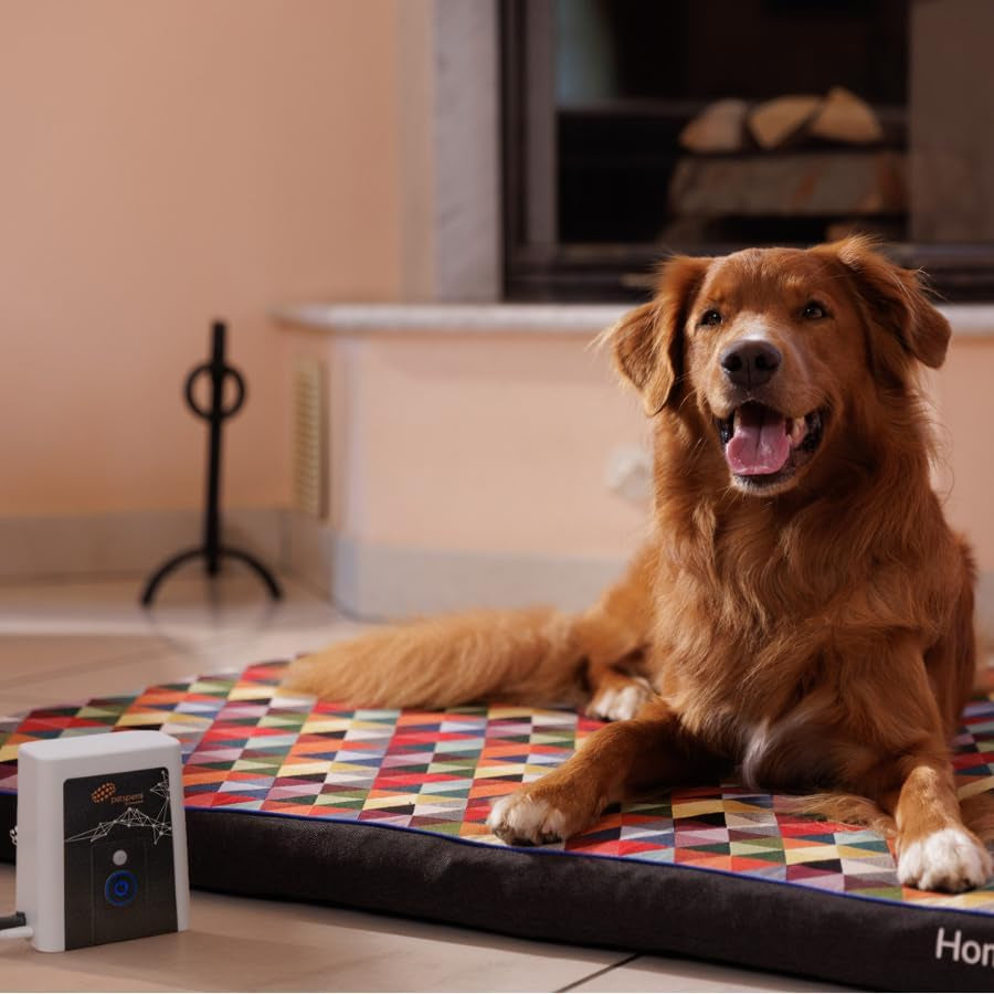 Rollnrest Therapeutic PEMF Dog Bed – Orthopedic Cooling Memory Foam Bed for Dogs with Joint Support & Recovery, Elara Cover, Medium 35.4" X 23.6"