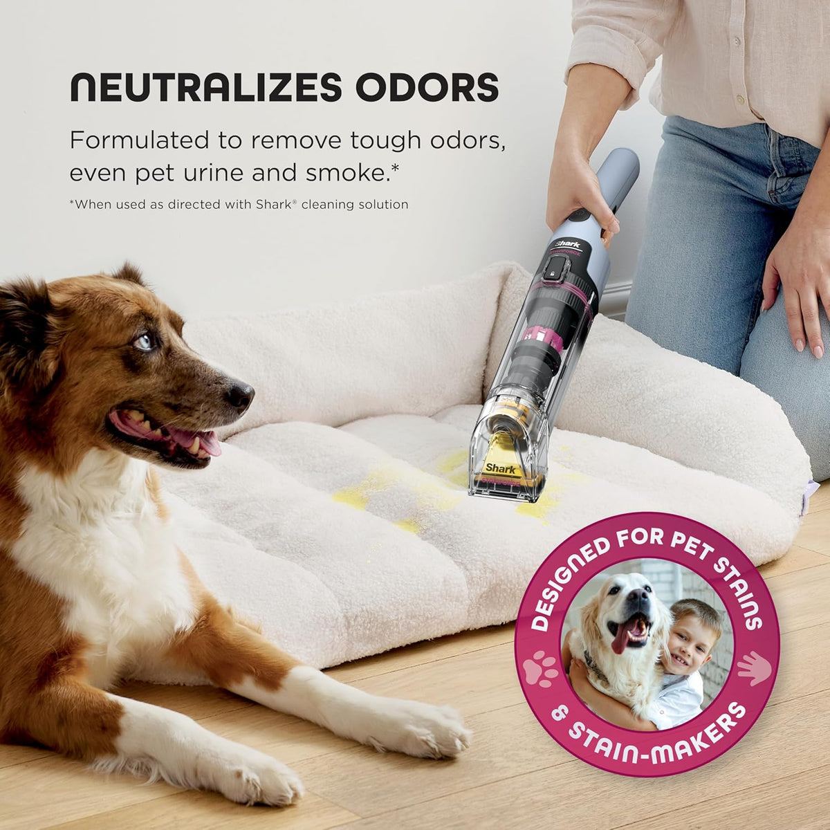 Shark Stainforce Cordless Stain, Odor & Urine Remover, 2 Tools, HX102BRN