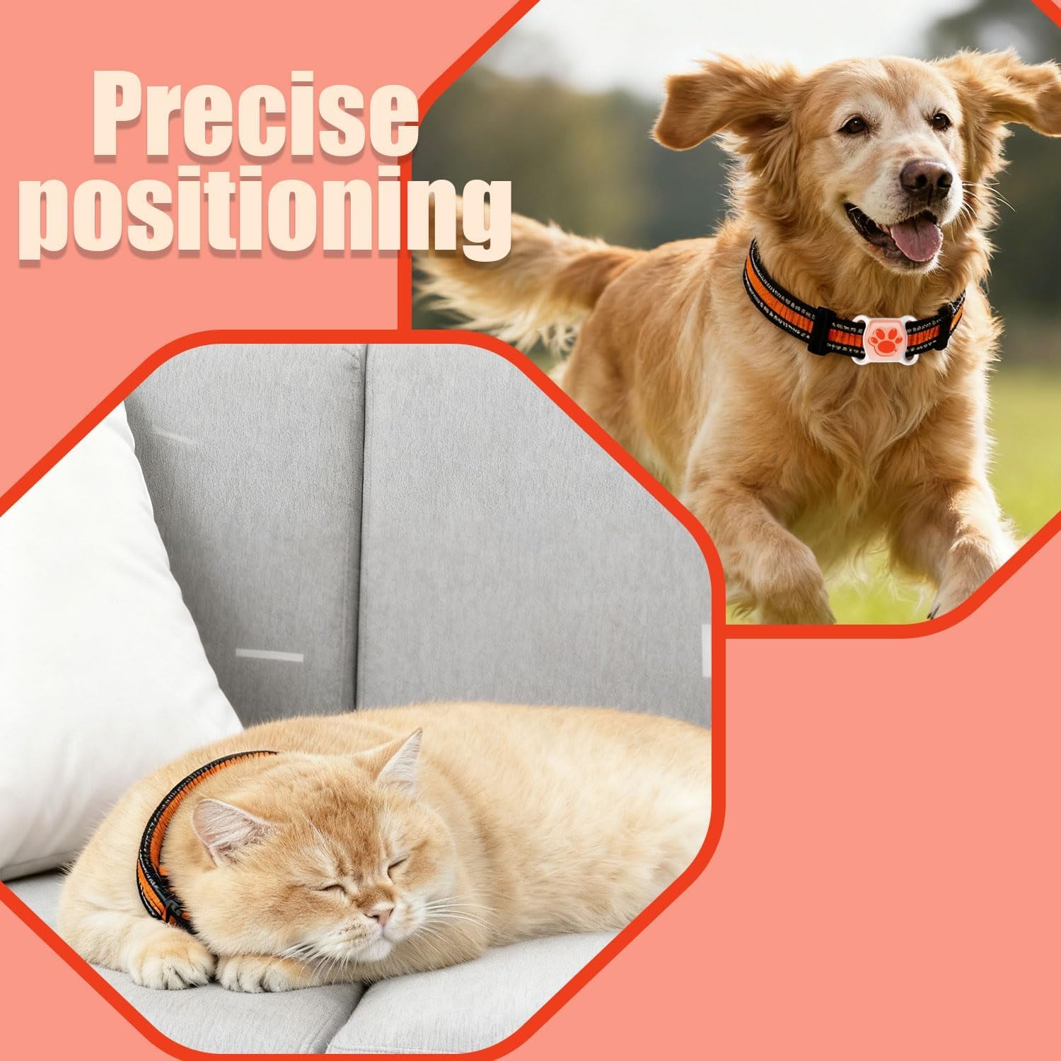 GPS Tracker for Dogs & Cats - No Monthly Fee, Waterproof Real-Time Tracking Collar for Pets, Kids,Luggage & Assets | 367-Day Battery Life | Ios & Android Compatible | Anti-Lost Device