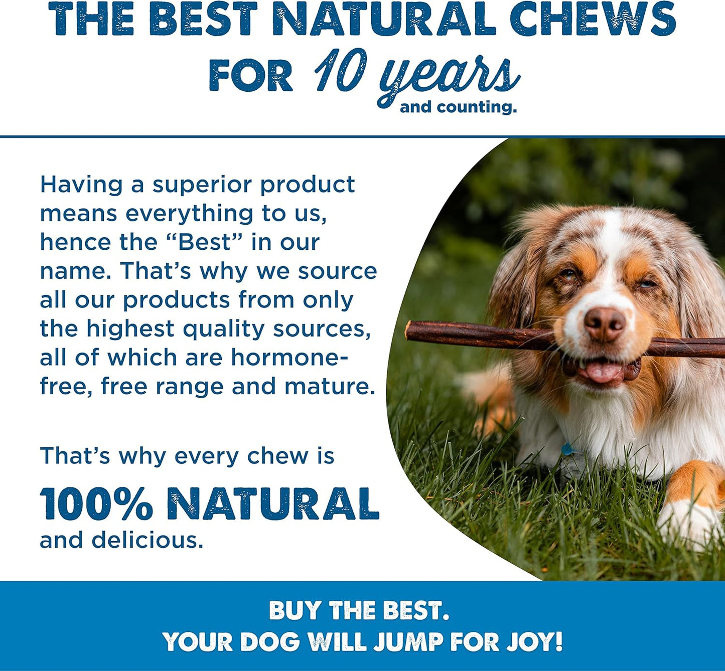 Best Bully Sticks Beef, Chicken, and Pork Kabob Collagen Sticks - 6 Inch 10 Count (Pack of 1) - Natural, USA Baked, Easily Digestible, Limited Ingredient Rawhide Alternative