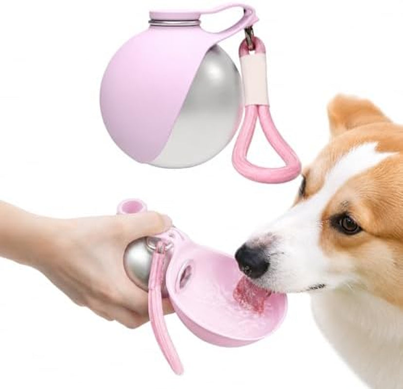 2-In-1 Portable Dog Water Bottle, 10 Oz Stainless Steel with Foldable Bowl