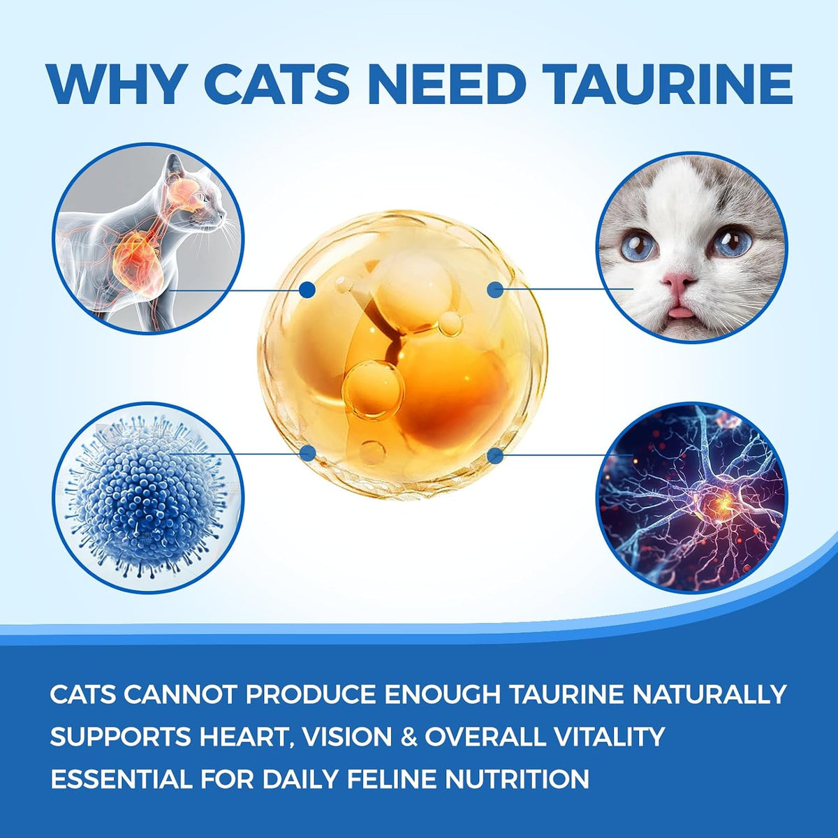 Kittysupps Taurine Powder for Cats, Kitty Supps Taurine Supplement, Grade Amino Acid Supplement for Heart, Vision & Daily Wellness, 200 Grams (1Pcs)