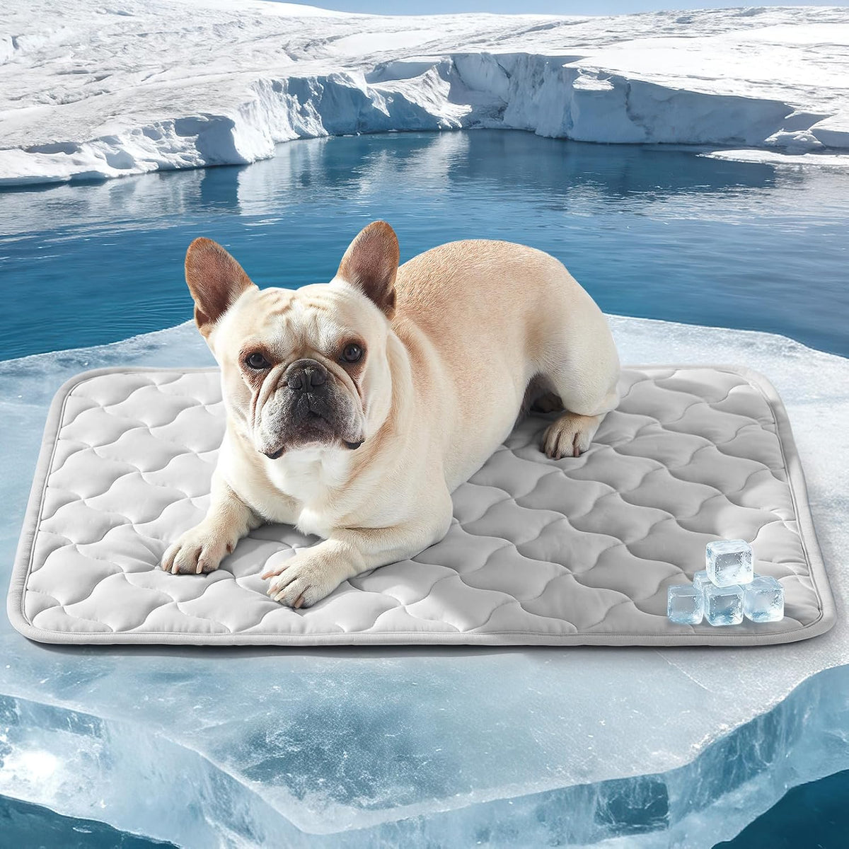 GASUR Cooling Mat for Dogs, Q-Max>0.5 Instant Temp Drop Dog Cooling Mats for Medium Dogs&Cats, Cooling Pad for Dog - Indoor Outdoor Travel Use, Snag Resistant，Machine Washable&Anti-Slip, 28"X22" Grey