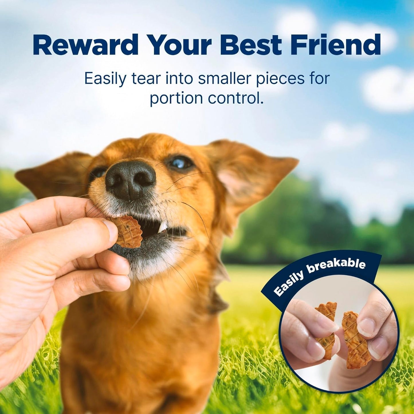 Blue Buffalo Nudges Chicken Homestyle Natural Dog Treats, Pot-Pie-Inspired Recipe, Healthy Reward or Training Treat, Made in the USA with Real Chicken, No Artificial Preservatives, 16 Oz.