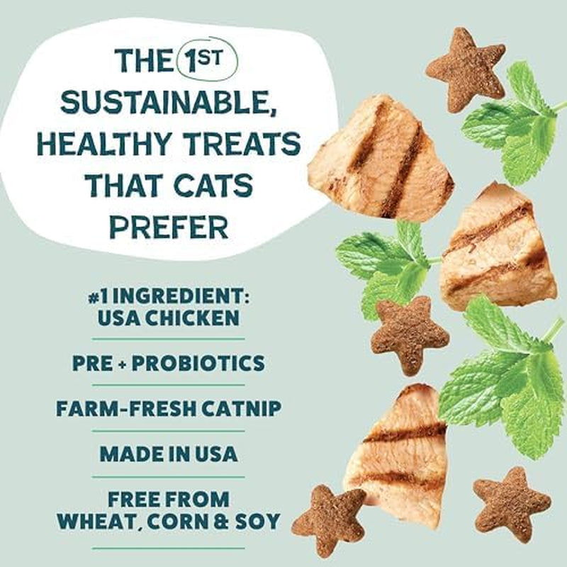 Shameless Pets Crunchy Cat Snacks & Treats – Healthy Cat Treats for Indoor Cats & Kittens with Catnip, Real Chicken & Digestive Support, Catnip N Chill (2.5 Oz)