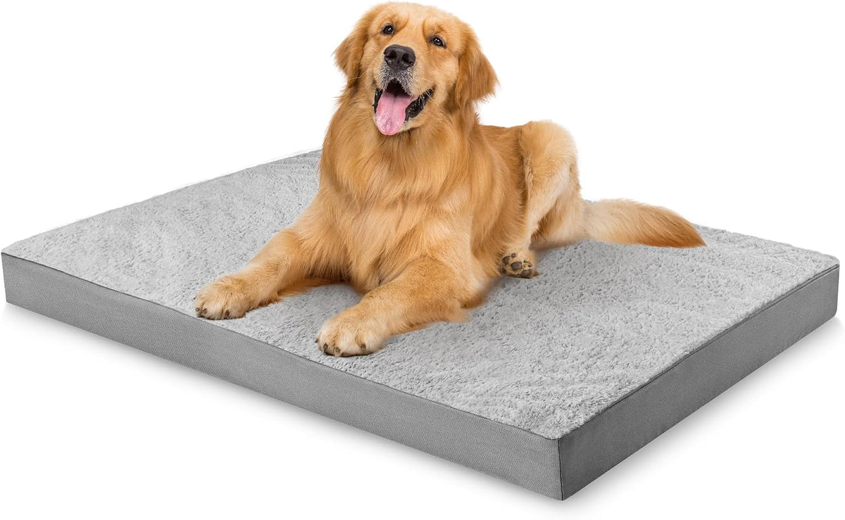 Simple Trending Orthopedic Dog Bed for Large Dogs with Removable Cover