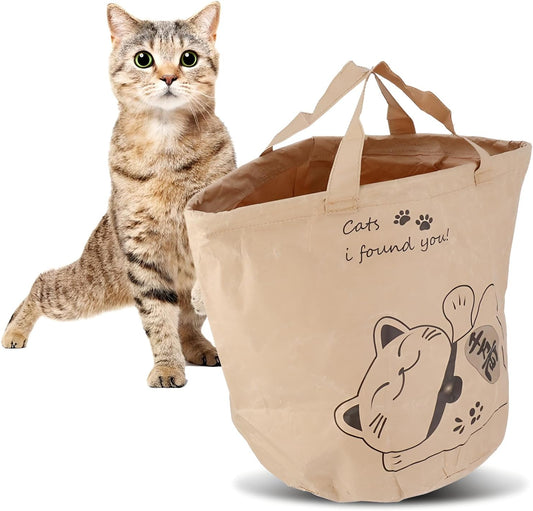 Portable Cat Kraft Paper Activity Play Bag for Outdoor Traveling