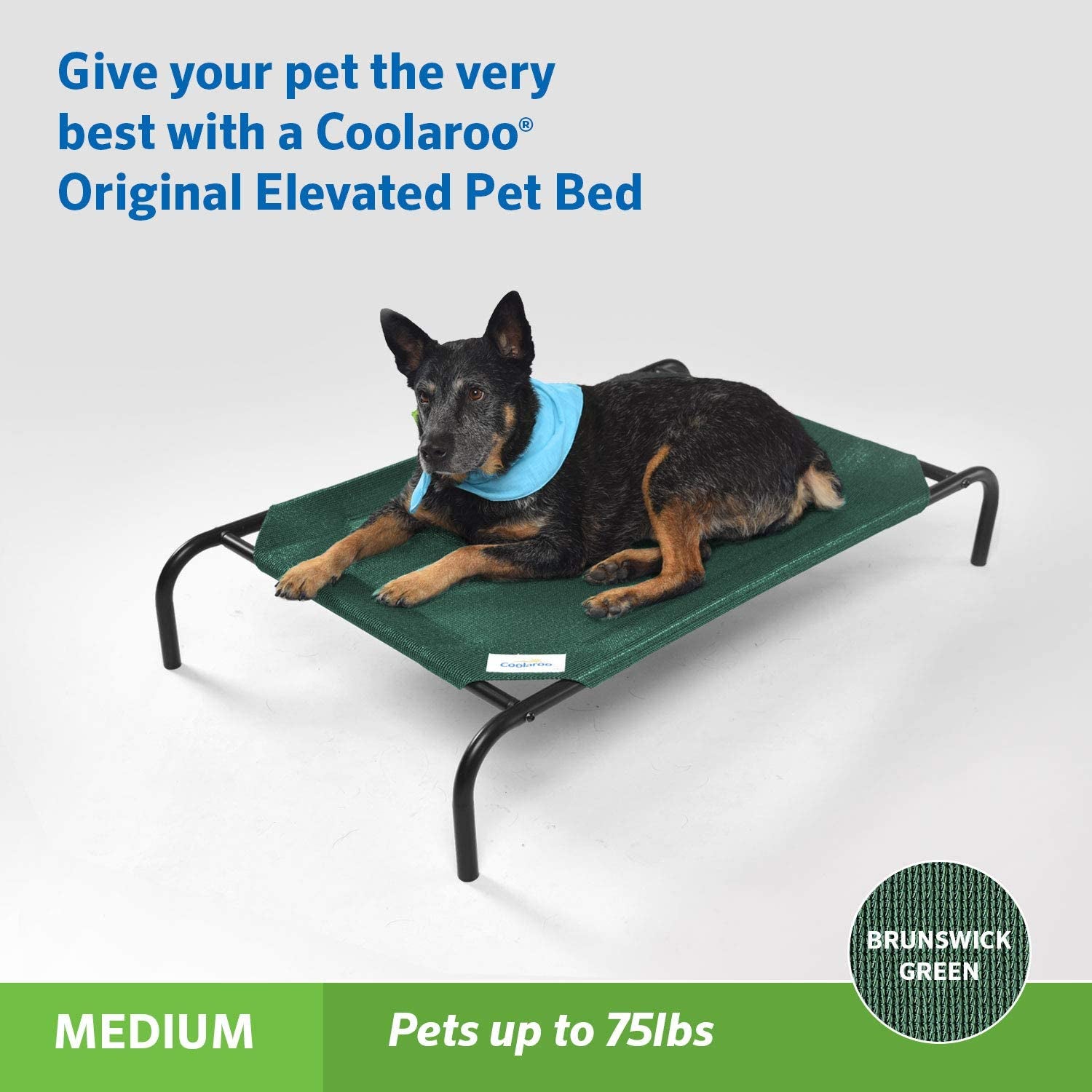 Coolaroo the Original Cooling Elevated Pet Bed, Medium, Brunswick Green
