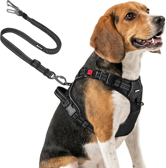 Joytale No Pull Dog Harness & Seat Belt, Easy on 3-Buckle, M, Black