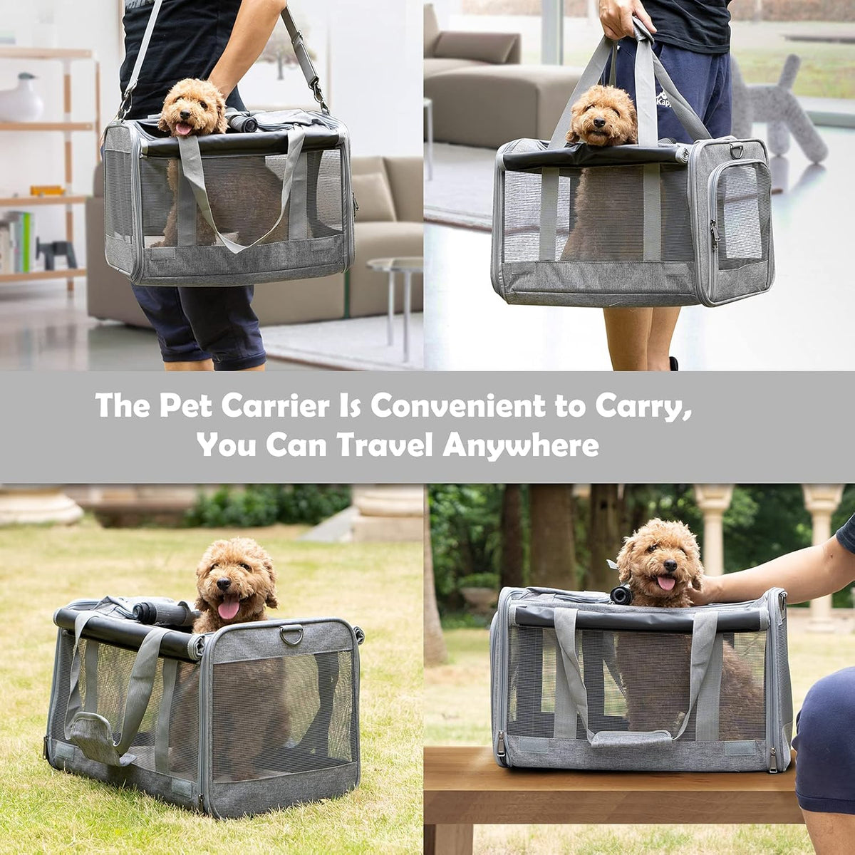 GAPZER Pet Carrier for Large Cats up to 20Lbs Soft-Sided Privacy Protection