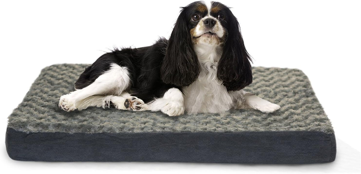 Furhaven Cooling Gel Dog Bed for Large/Medium Dogs W/ Removable Washable Cover, for Dogs up to 55 Lbs - Ultra Plush Faux Fur & Suede Mattress - Gray, Large