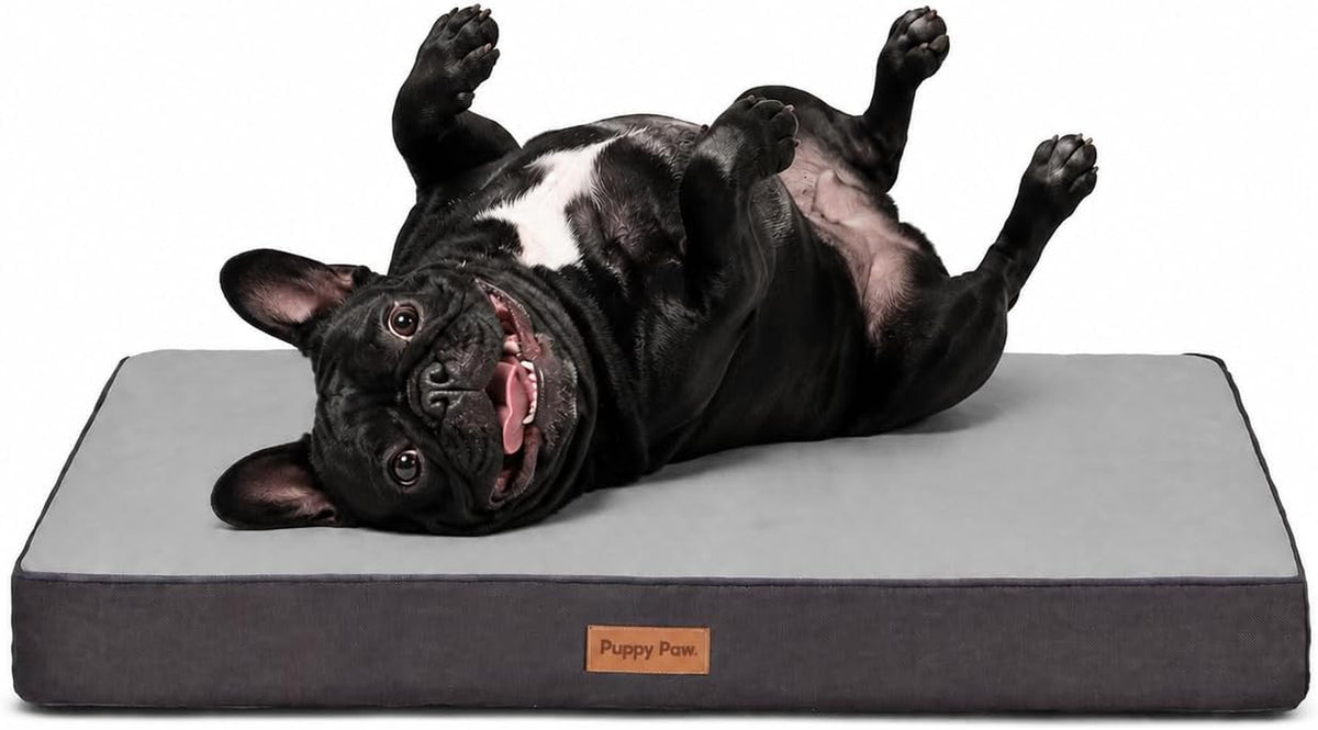 Washable Cooling Pet Bed for Small, Medium Dogs & Cats, Certipur-Us Certified Memory Foam Pet Bed with Waterproof Inner Liner (29" X 18", up to 50Lbs)