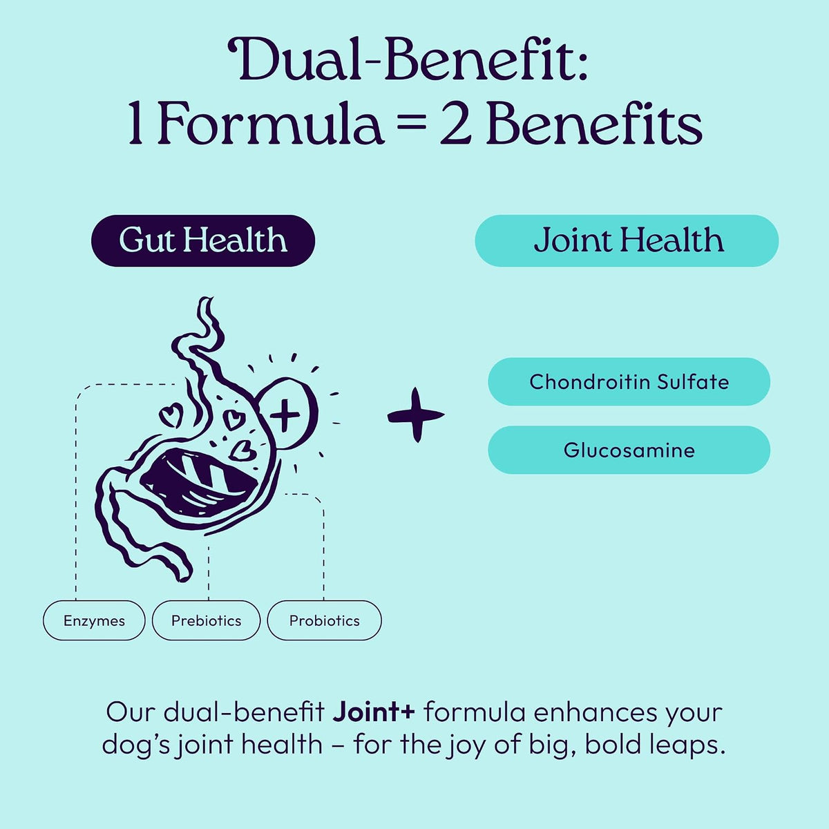Welljoy Joint Dog Treat + Glucosamine, Chondroitin, Gutboost, 30Ct