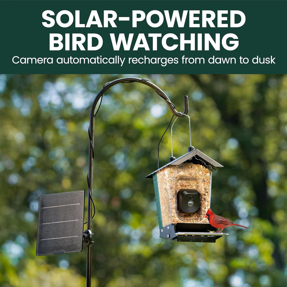 Perky-Pet Solar Powered Smart Bird Feeder with Camera, 3.2L Capacity