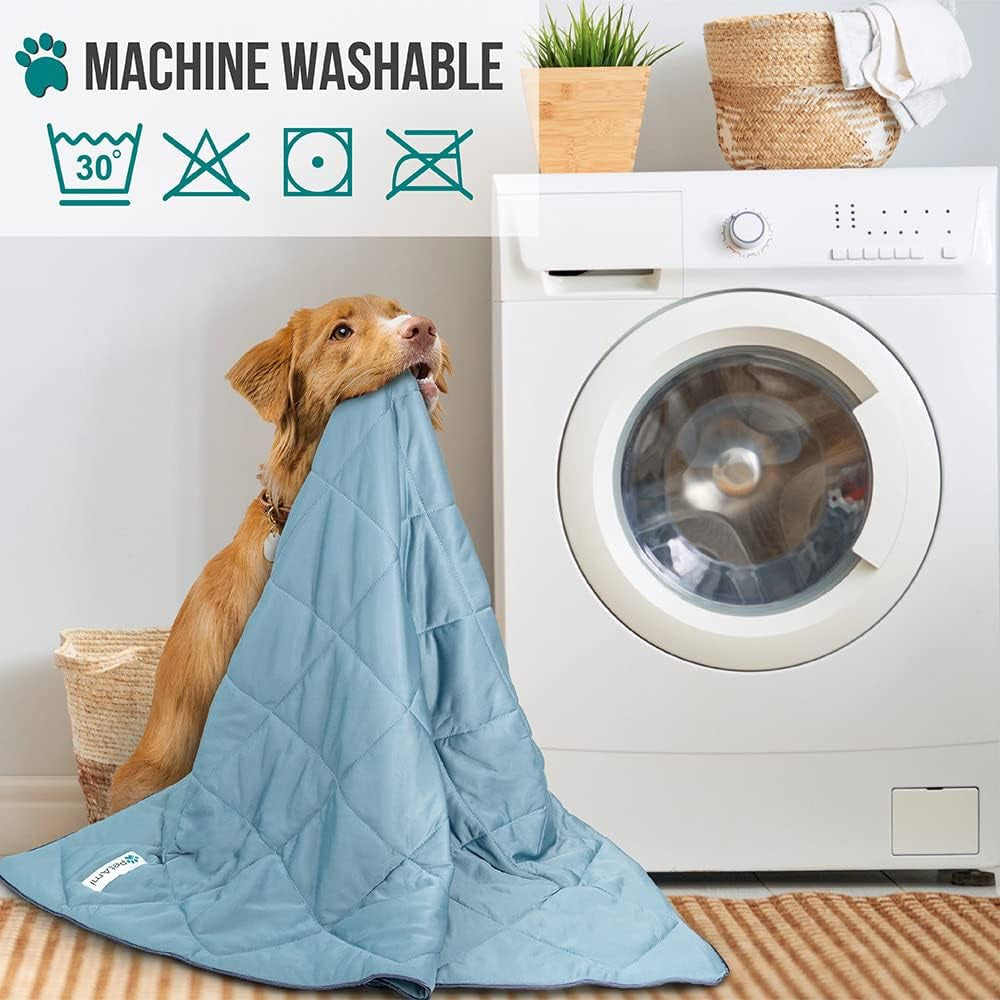 Petami Cooling Dog Blanket Lightweight Soft for Medium Pet Cat, 29X40 Blue