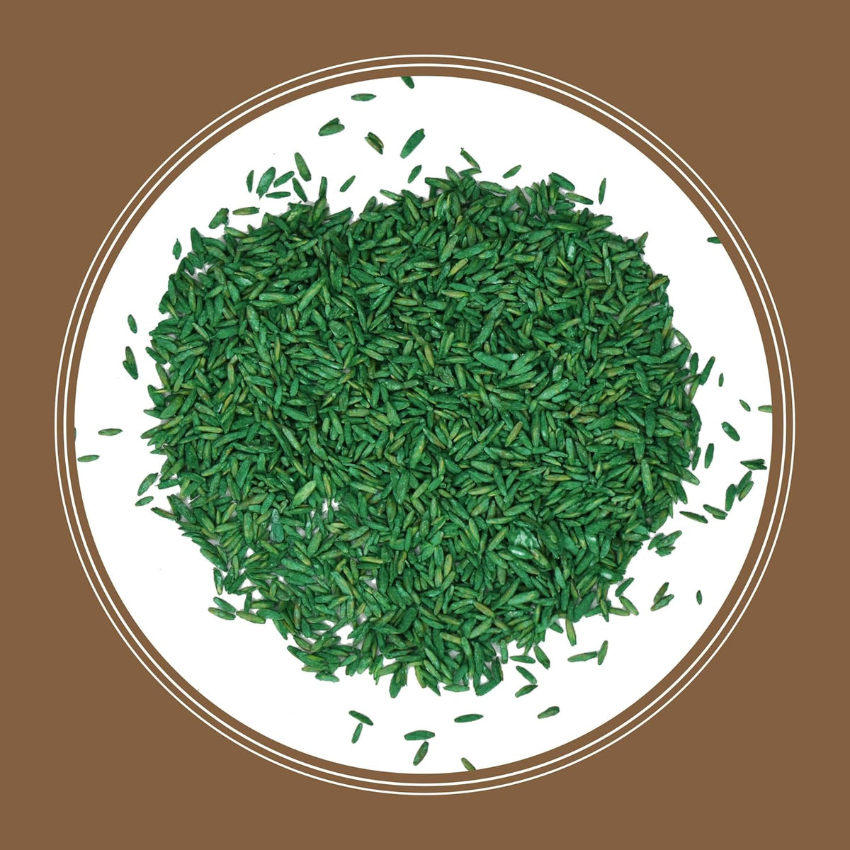 Pennington Bare Spot Repair Grass Seed Mixture - Central 1 Lb (Pack of 2)