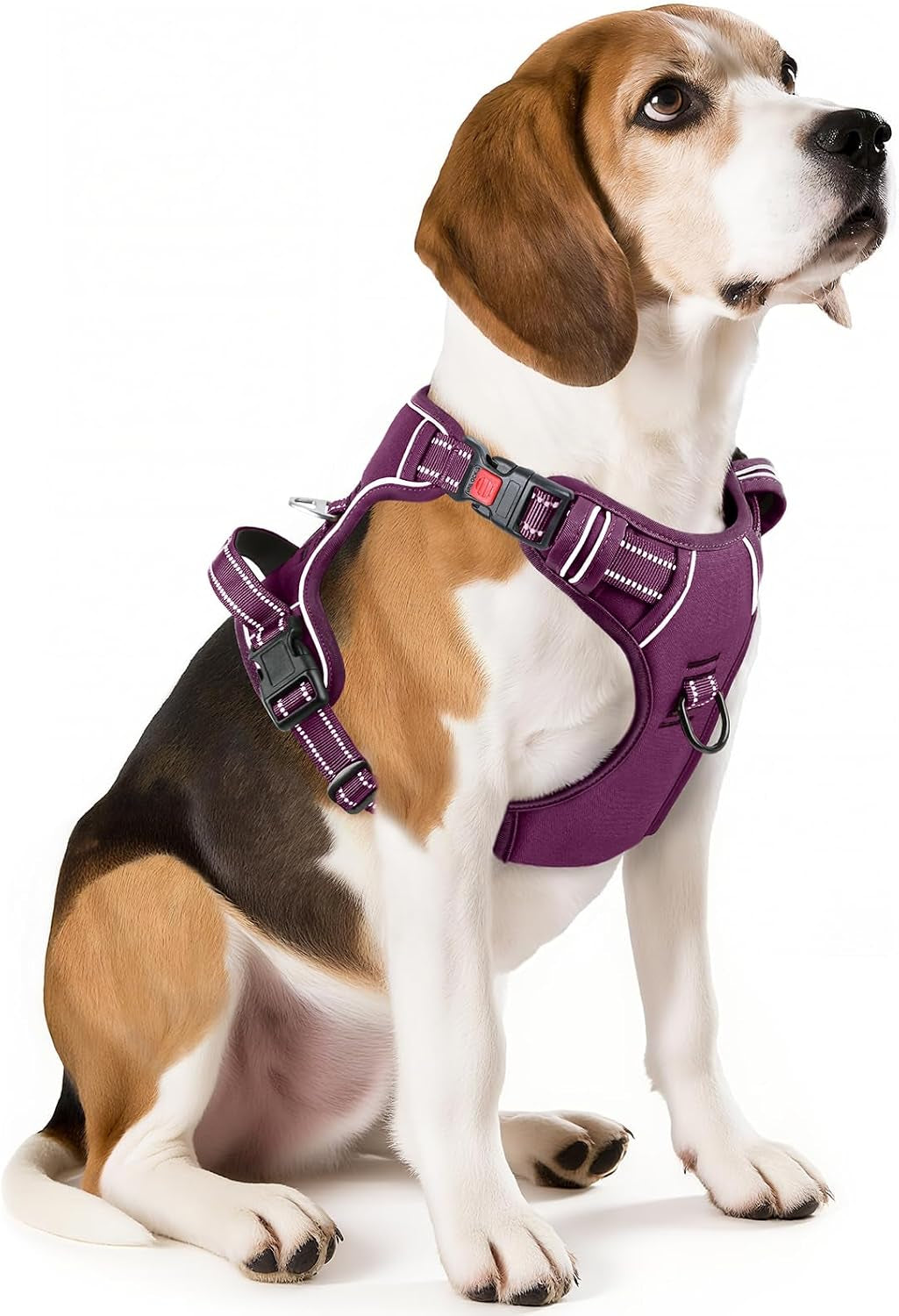 Timos Dog Harness, Front Clip No Pull Medium Sized with Handle, Purple, M