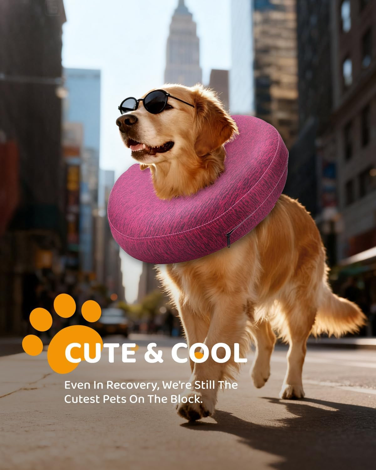 MIDOG Inflatable Dog Cone Collar – Soft Dog Cone Alternative after Surgery, Comfortable Recovery Neck Donut Ecollar for Small Medium & Large Dogs and Cats to Stop Licking & Vision-Friendly (Rose,L)