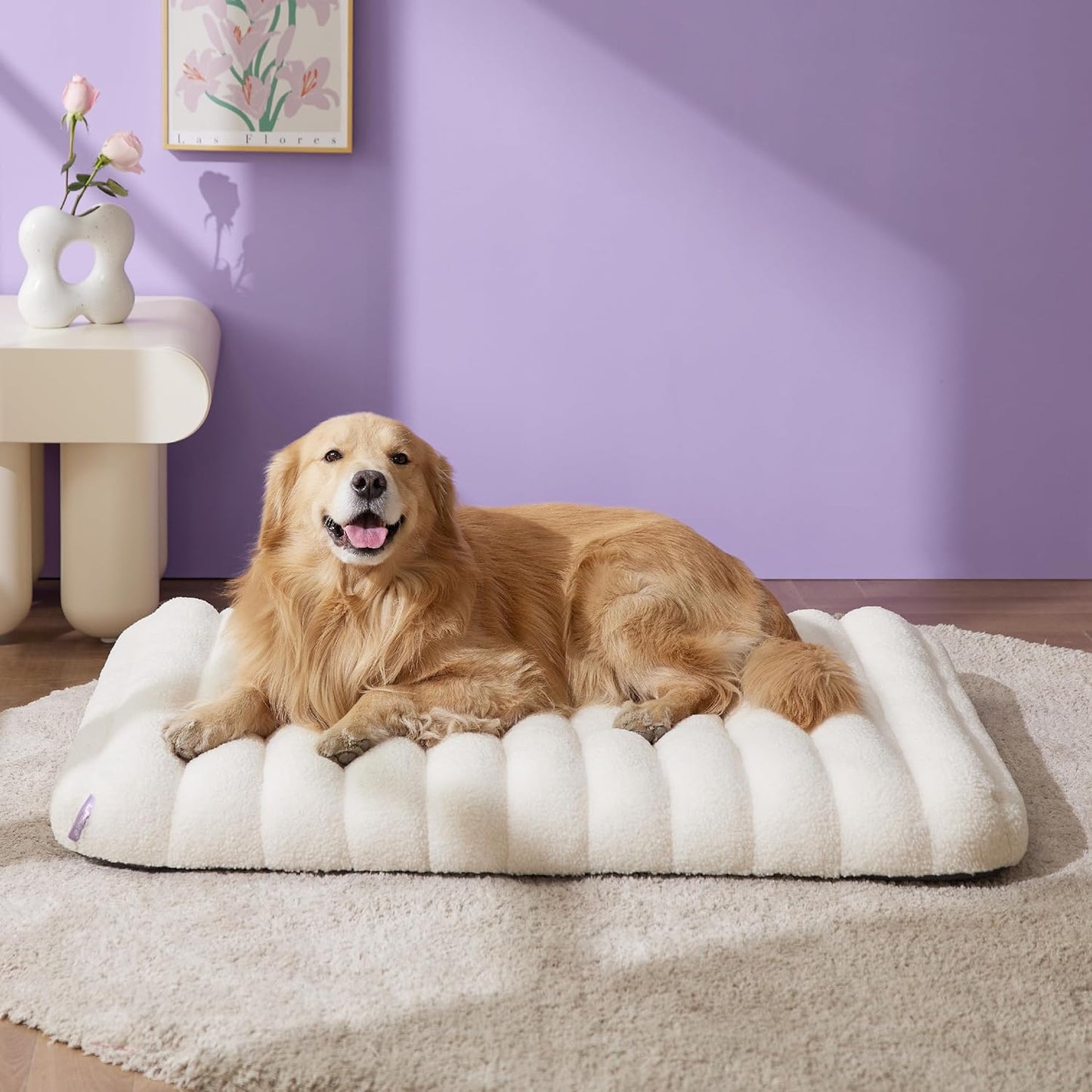 Cute Orthopedic Dog Bed for Extra Large Dogs, XL Waterproof Chic Flat Pet Beds with Removable Washable Cover, Fuzzy Thick Egg Crate Foam Pet Mat for Indoor Use (44" X 32", Cream)