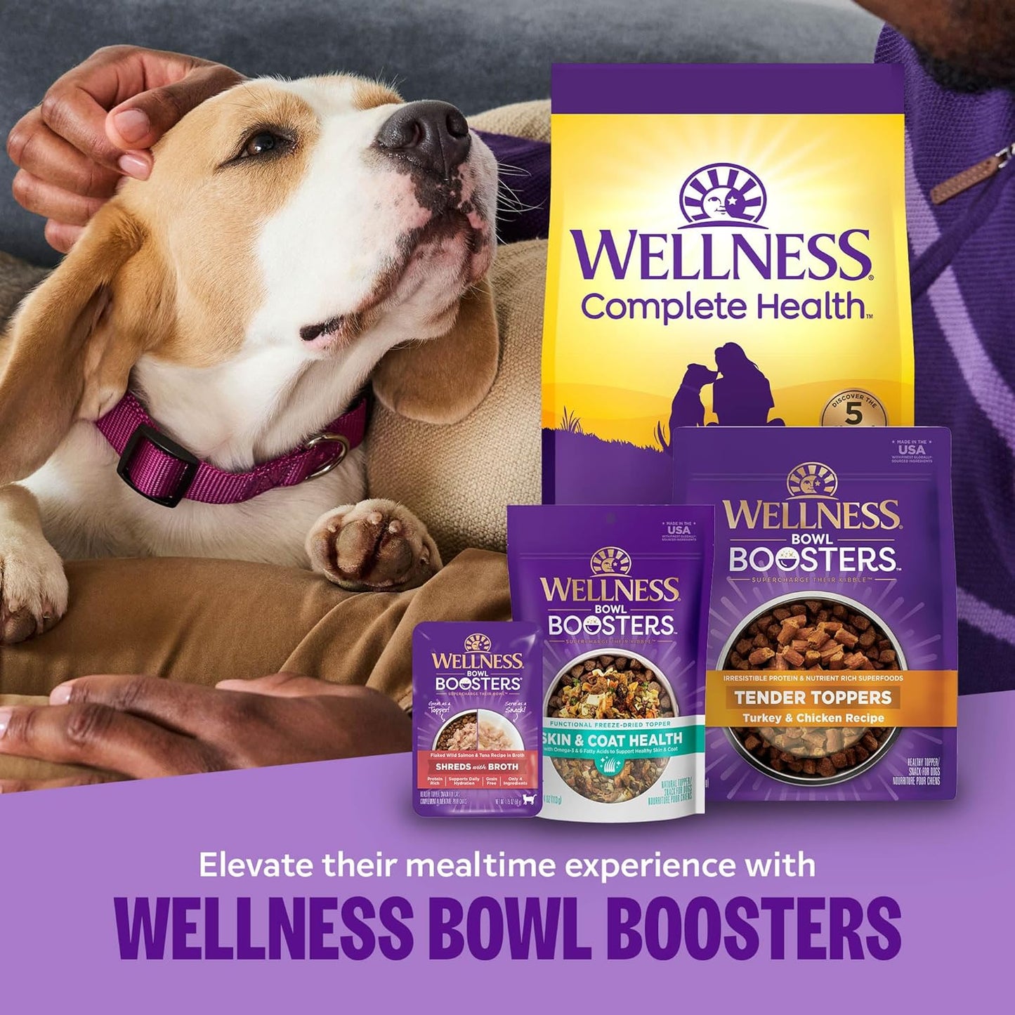 Wellness Bowl Boosters Digestive Health Dog Food Topper with Freeze Dried Pieces for Small, Medium, and Large Breeds, Sensitive Stomach, Grain Free, Natural, Chicken Recipe, 4 Oz Bag