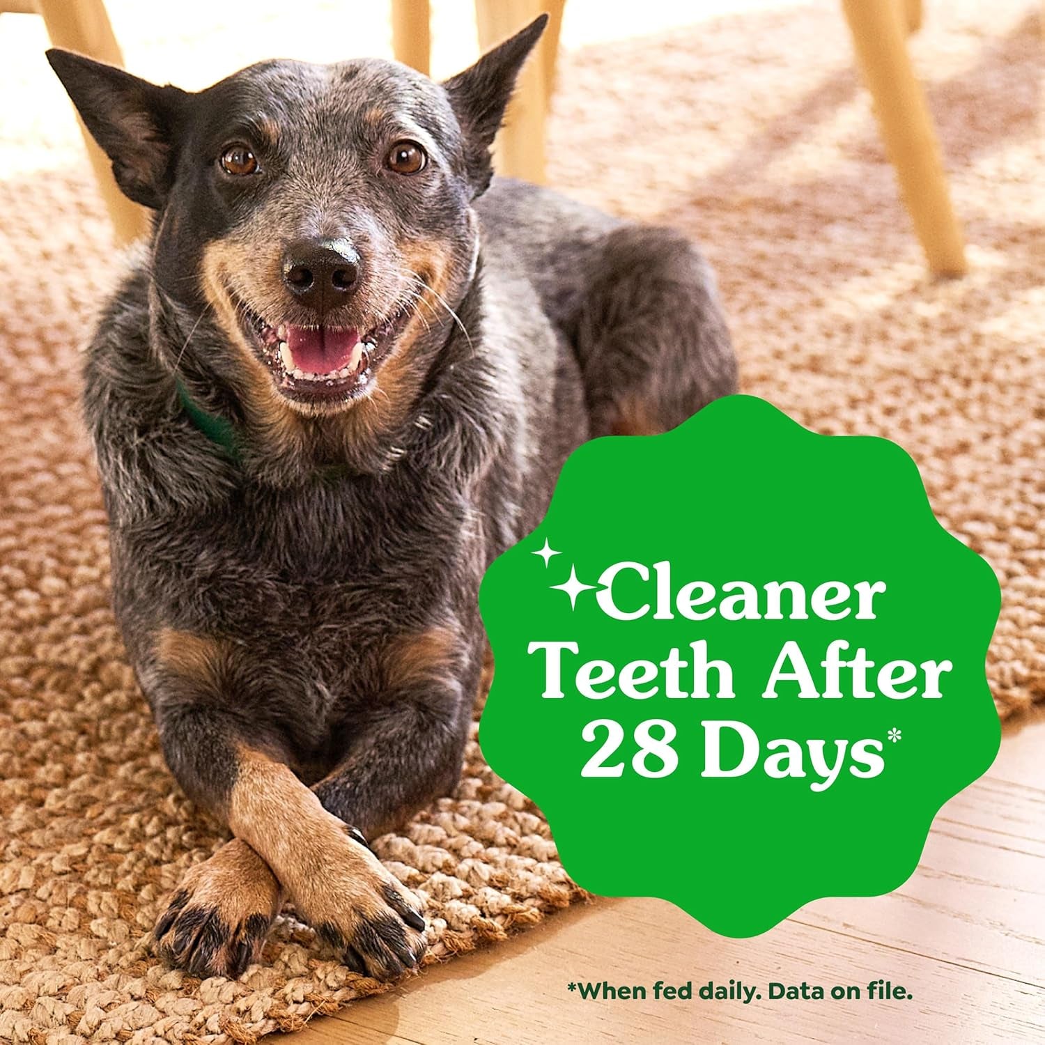 Greenies Veterinarian-Recommended Natural Dental Puppy Treats Petite Size, Dental Treats for Dogs, 12 Oz. Pack, 20 Count