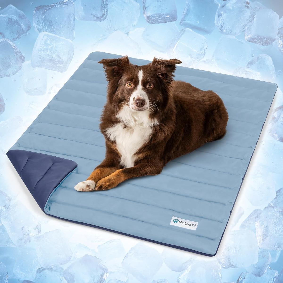 Petami Dog Cooling Mat Blanket Pet Pad for Small Medium Cat, Medium 29X40