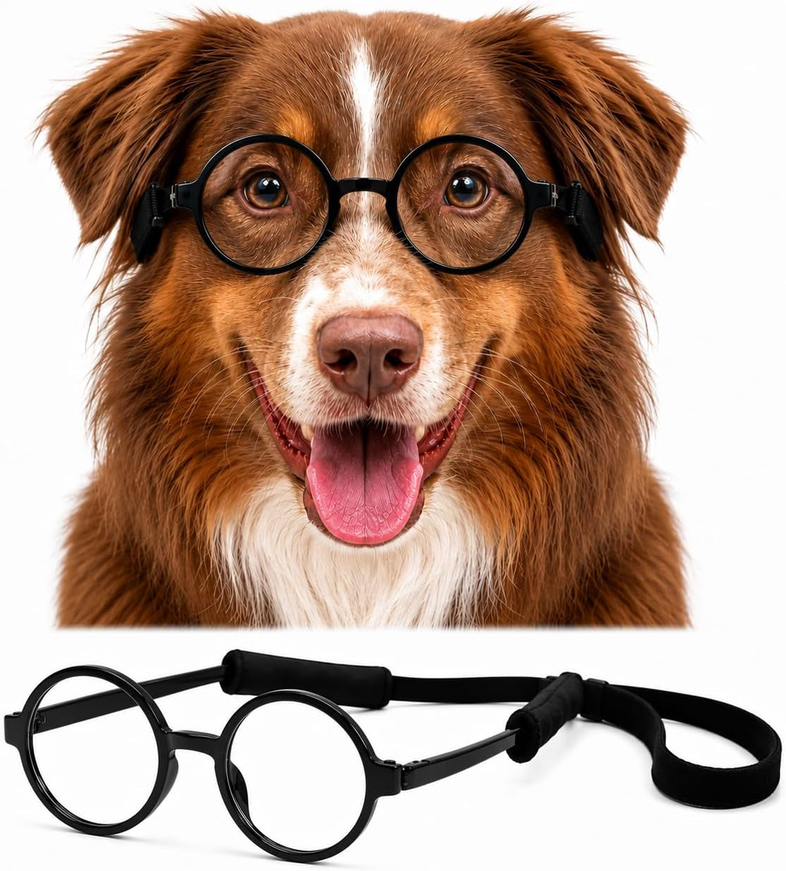 G003 Dog Pet round Costume Prop Clear Lens Glasses Sunglasses Fits Medium Dogs 18-40 Lbs (Round Black-Clear)