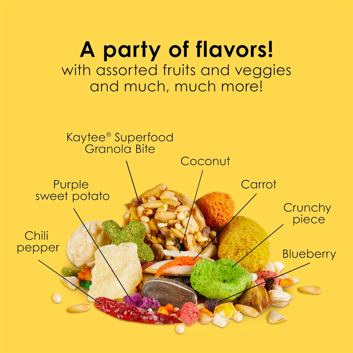 Kaytee Fiesta Conure Bird Food, Nutritious Fun Blend, 4.5 Pounds