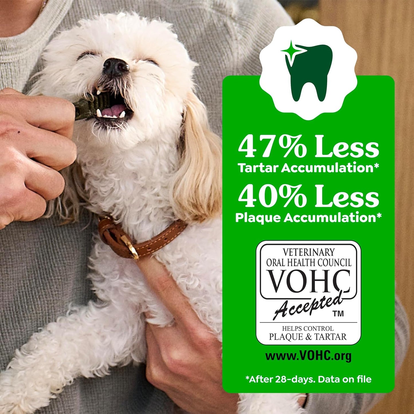 Greenies Veterinarian-Recommended Adult Natural Dental Dog Treats Petite Size, Dog Dental Chews, Original Flavor, 54 Oz. Pack, 90 Count