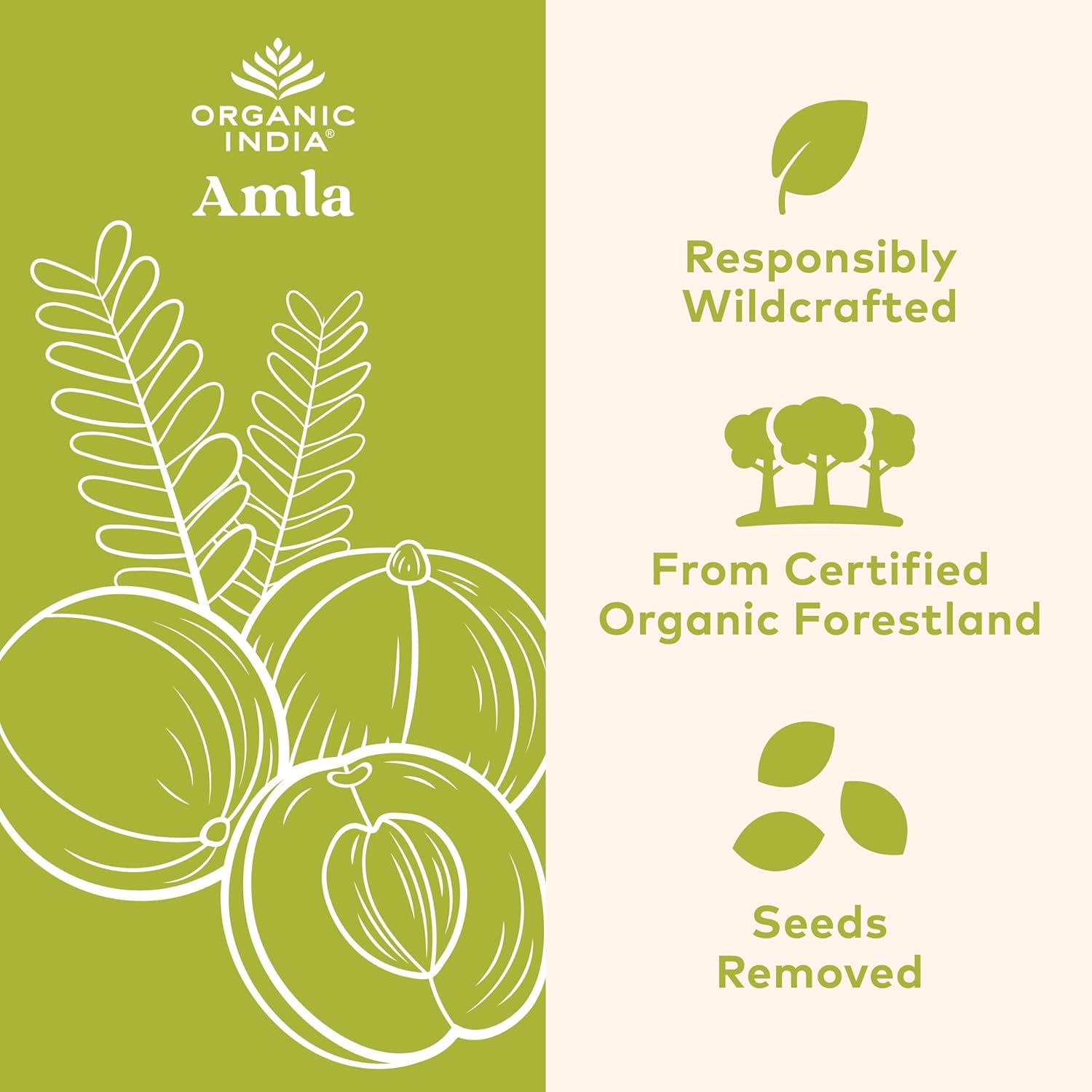 ORGANIC INDIA Amalaki Herbal Vitamin Supplement - Immune Support, Vitamin C, Vegan, Gluten-Free, Kosher, Ayurvedic, Antioxidant, USDA Certified Organic, Non-Gmo - 90 Capsules