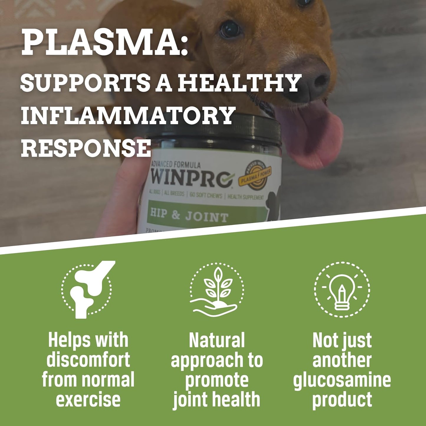 WINPRO Hip & Joint Supplement for Dogs - Plasma Powered Soft Chews for Joint Health & Mobility – Fast-Acting with Collagen & Natural Ingredients for Dogs of All Breeds – 60 Chews