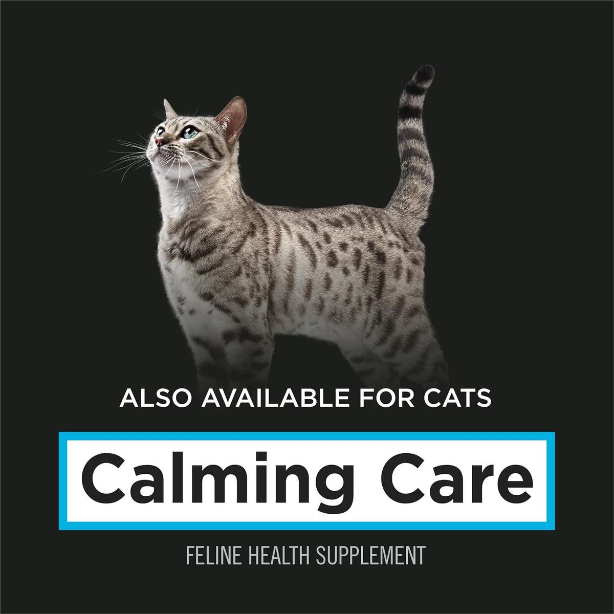 Purina Pro Plan Veterinary Supplements Calming Care Dog Supplement, 30 Ct