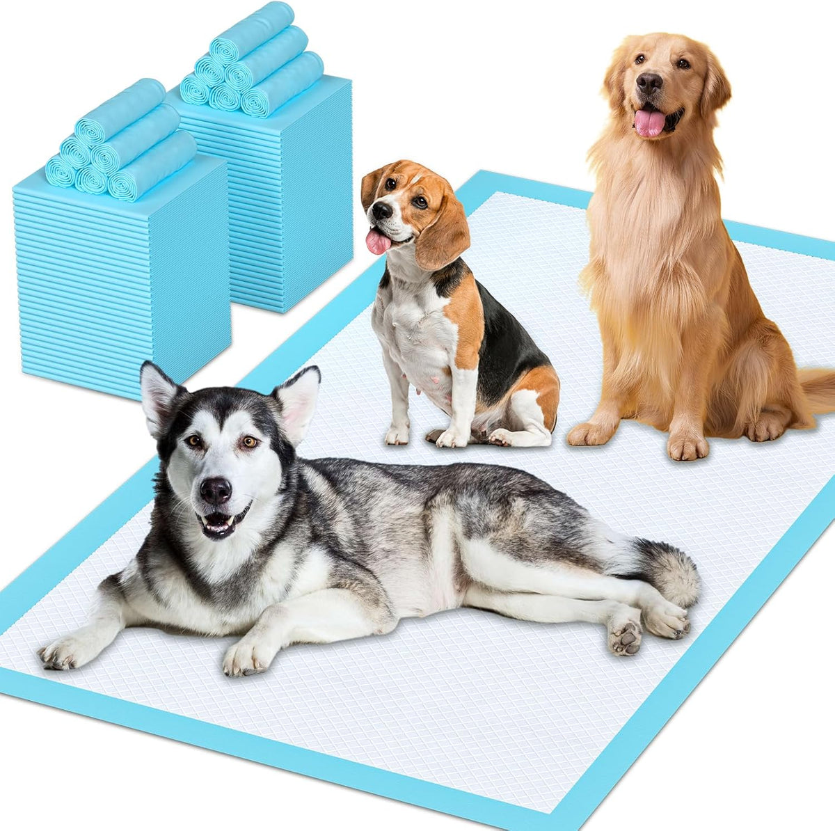 Puppy Pads Extra Large for Dogs 31"X47" 40 Count, Leak-Proof & Super Absorbent Dog Pee Pads, Thicken Disposable Potty Pads Puppy Training Pads for Cats Rabbits