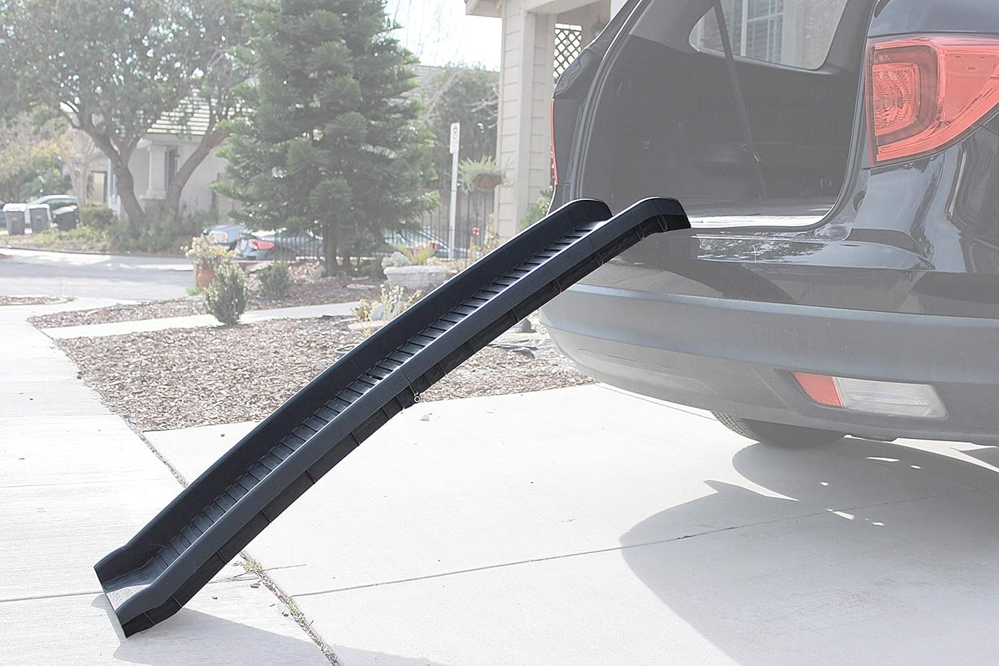 Pawstep 61" Folding Pet Ramp, Portable Dog Ramp for Cars, Suvs, Beds & Couches, Lightweight PP Construction, Textured Surface, Optional Carpet for Added Traction, 165 Lb Capacity (50524)