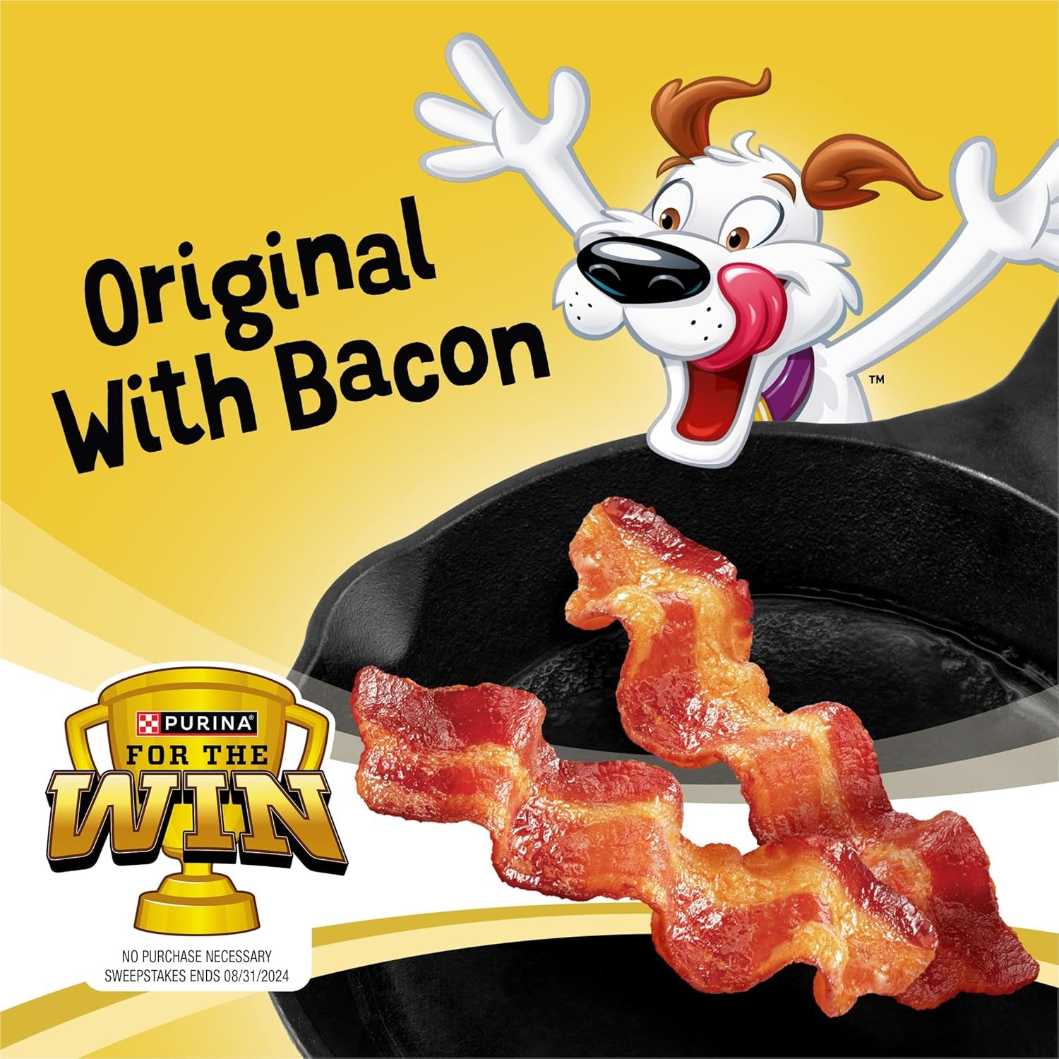 Purina Beggin' Strips Dog Treats, Original with Bacon Flavor - (Pack of 2) 26 Oz. Pouches