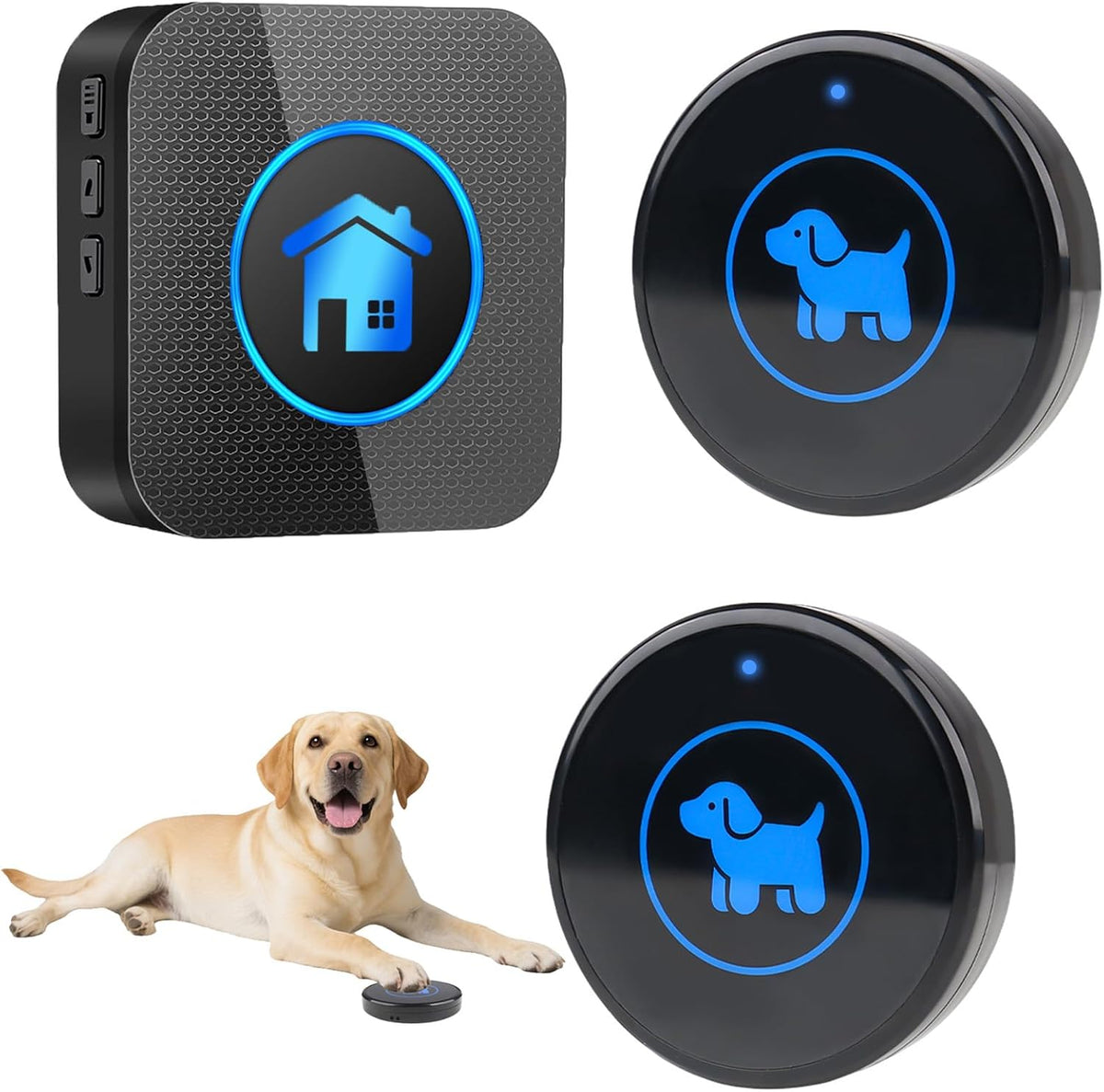 Dog Door Bell for Potty Training, Easy-Touch Wireless Dog Doorbell for Dogs to Go Outside, IP65 Waterproof, 1000Ft Range, 55 Melodies & 5 Volume Levels, 2 Buttons