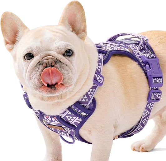 AUNZO Dog Vest Harness No Pull Easy Walker Pet Harness for Walking Training Hiking for M Sized Dogs with 2 Leash Clips 3 Buckles ID Card Reflective Strip Soft Padded Handle, Tribal, French Bulldog