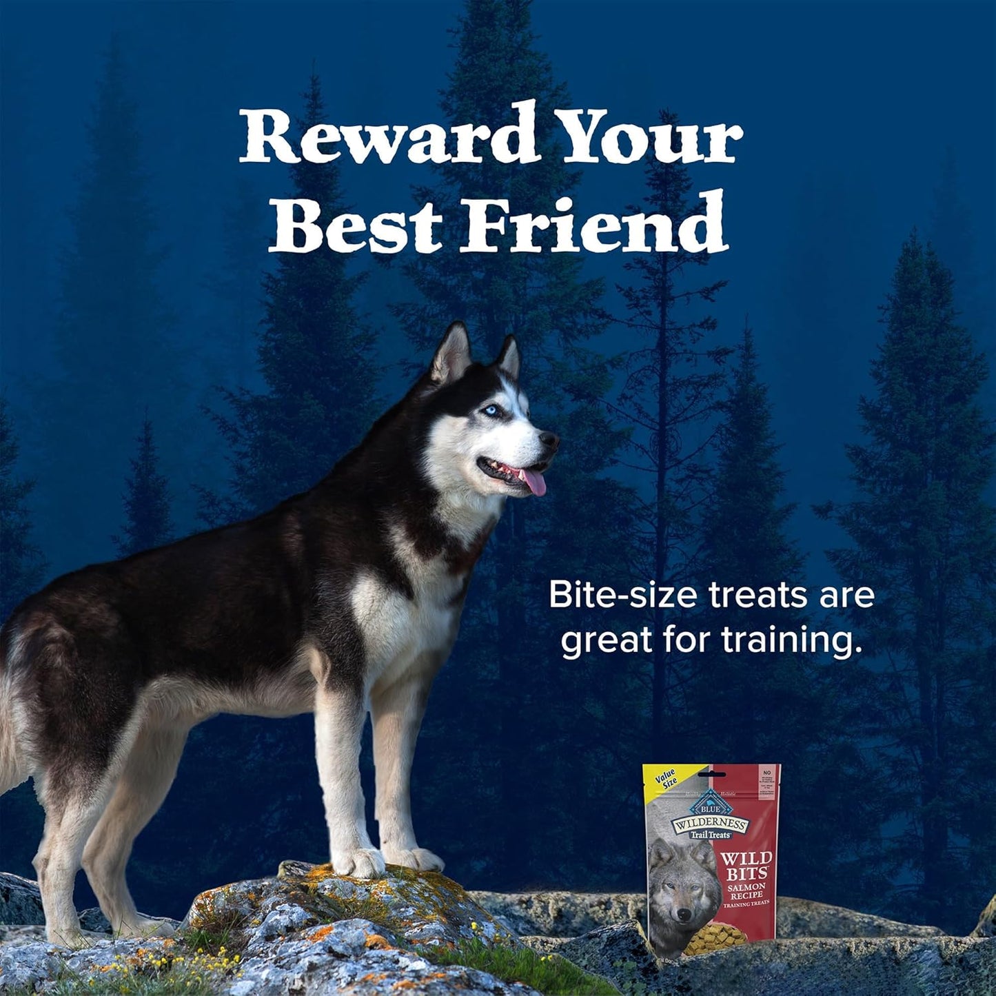 Blue Buffalo Wilderness Trail Treats Wild Bits Training Treats for Dogs, Grain-Free Dog Treats, Salmon Recipe, 10-Oz. Bag