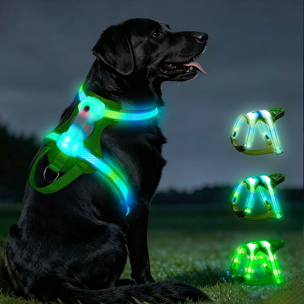 LED Dog Harness, Light up Dog Harness for Night Walking, Rechargeable Rainbow Dog Harness with Adjustable Safety Vest, Comfortable No Pull Dog Harness for Small Medium Large Dogs, USB Charging