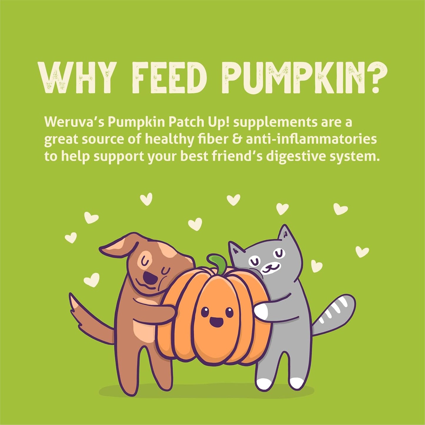 Weruva Pumpkin Patch Up! Pumpkin Puree Pet Food Supplement for Dogs & Cats, 1.05Oz Pouch (Pack of 12)