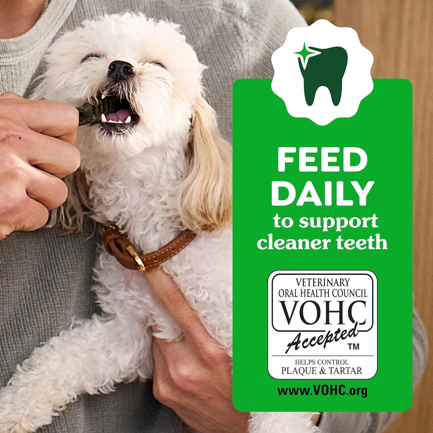 Greenies Veterinarian-Recommended Natural Dental Puppy Treats Petite Size, Dental Treats for Dogs, 12 Oz. Pack, 20 Count