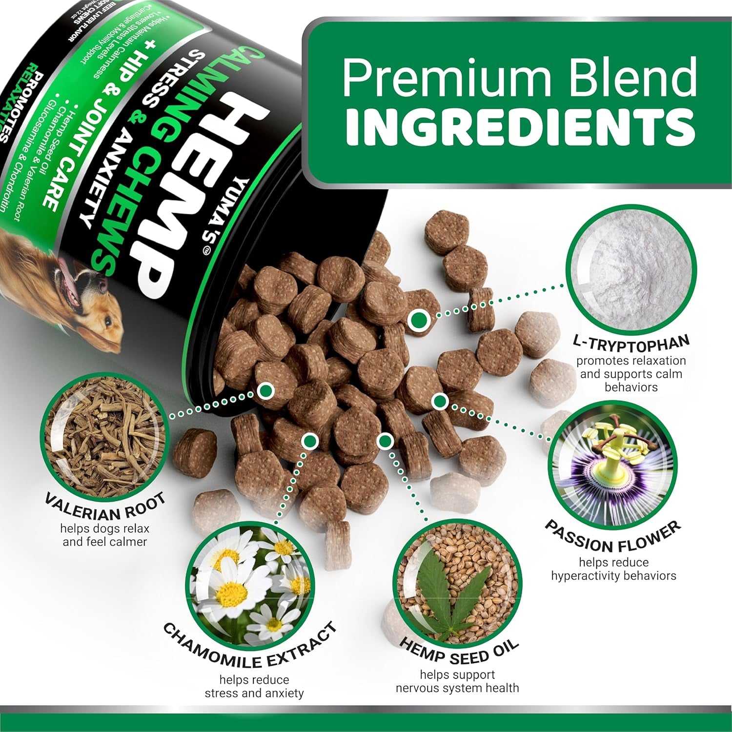 Hemp Calming Chews for Dogs - Advanced Dog Calming Chews - 170 Treats - Anxiety Relief Treats - Hemp Oil - Separation Aid, Stress, Hip and Joint Supplement for Canine Health Support - Beef Flavor