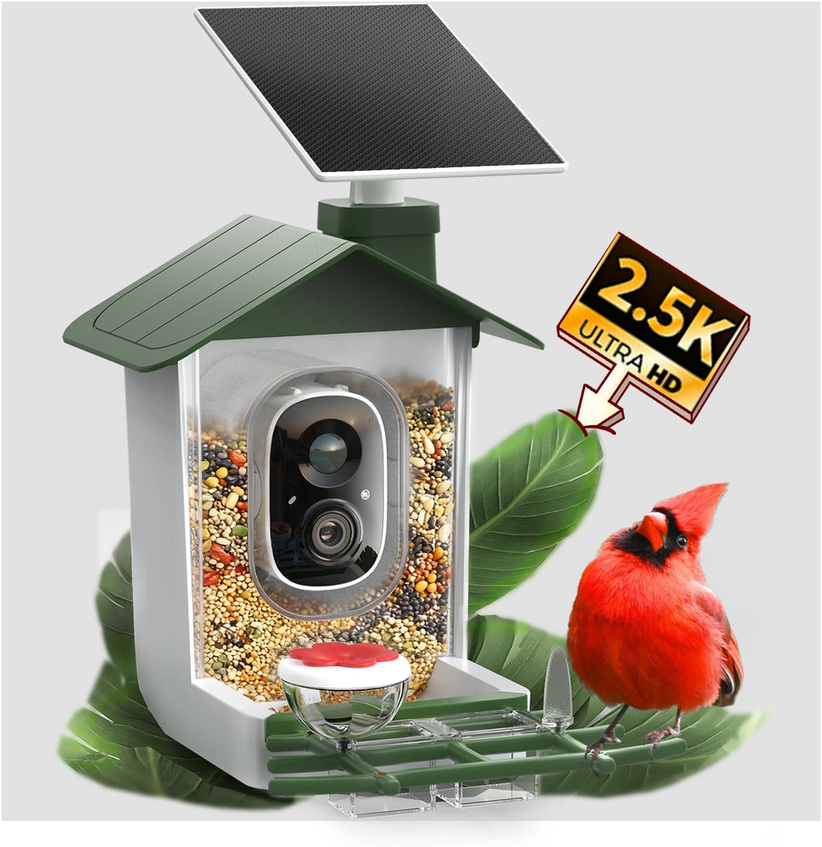 COOAU 5MP Smart Bird Feeder with Camera, 30% Faster Solar Charging