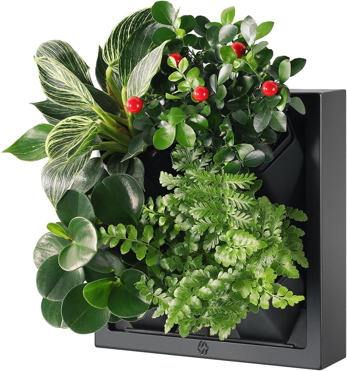Wall Mounted Planter, Vertical Garden with 4 Grow Pots
