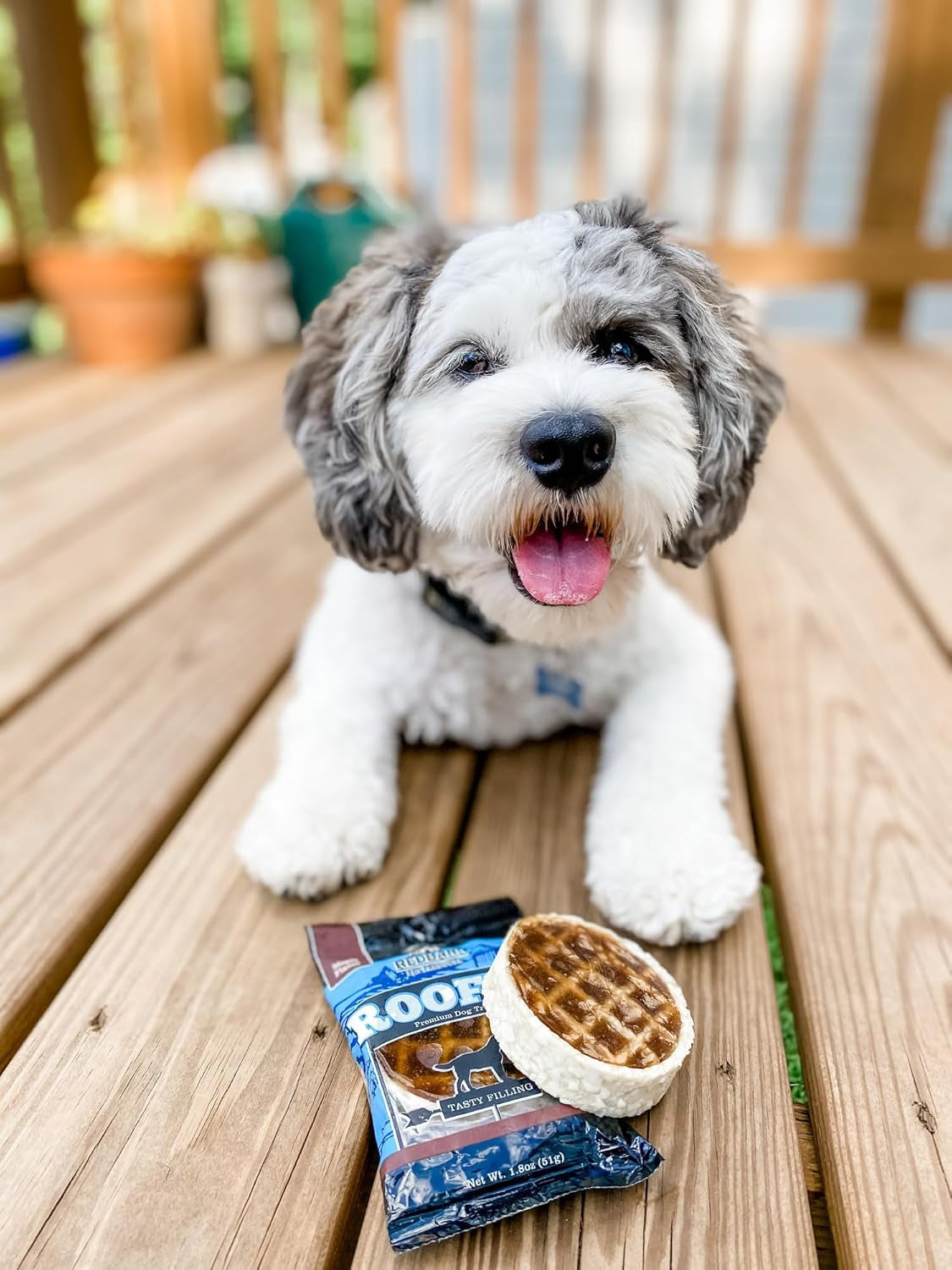 Roofle Dog Treats by REDBARN