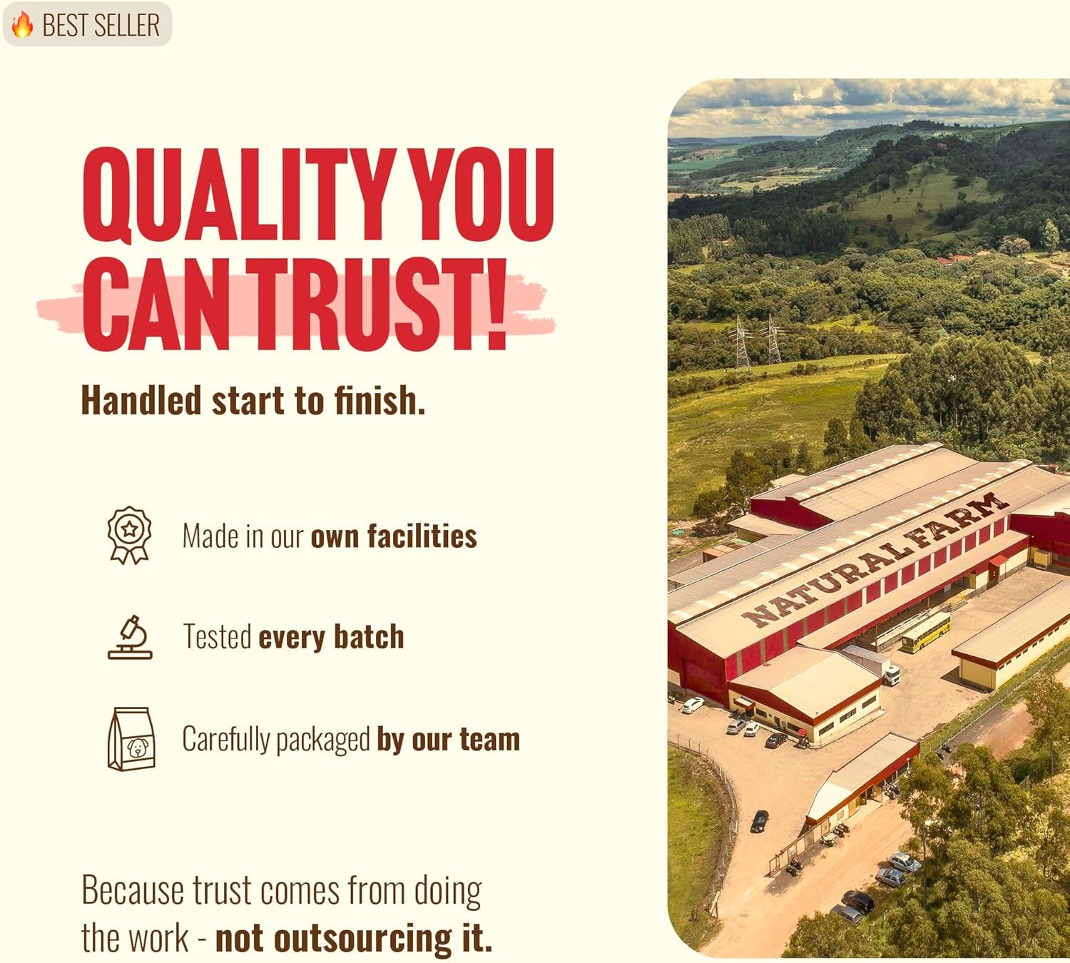Natural Farm Jumbo Bully Sticks (6 Inch, 4 Pack), Odor Free, Extra-Thick Dog Chews - Fully Digestible 100% Beef Treats, Supports Dental Health, Keep Your Dog Busy with 50% Longer Lasting Chews