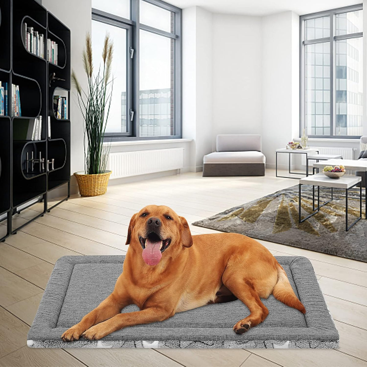 EMPSIGN Dog Crate Pad for 42"X28" Dog Crate, Star Pattern/Grey