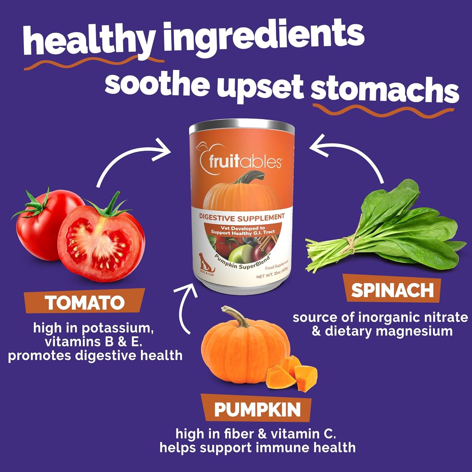 Fruitables Pumpkin Digestive Supplement, Made with Pumpkins for Dogs, Healthy Fiber Supplement for Pet Nutrition, Packed with Superfoods, 15 Oz