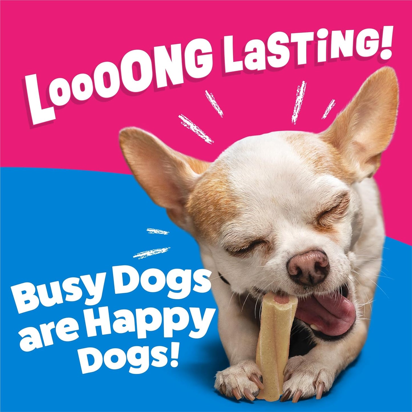 Purina Busy Bone Adult Toy Breed Dog Chew Bone Treats, Tiny - 60 Ct. Pouch