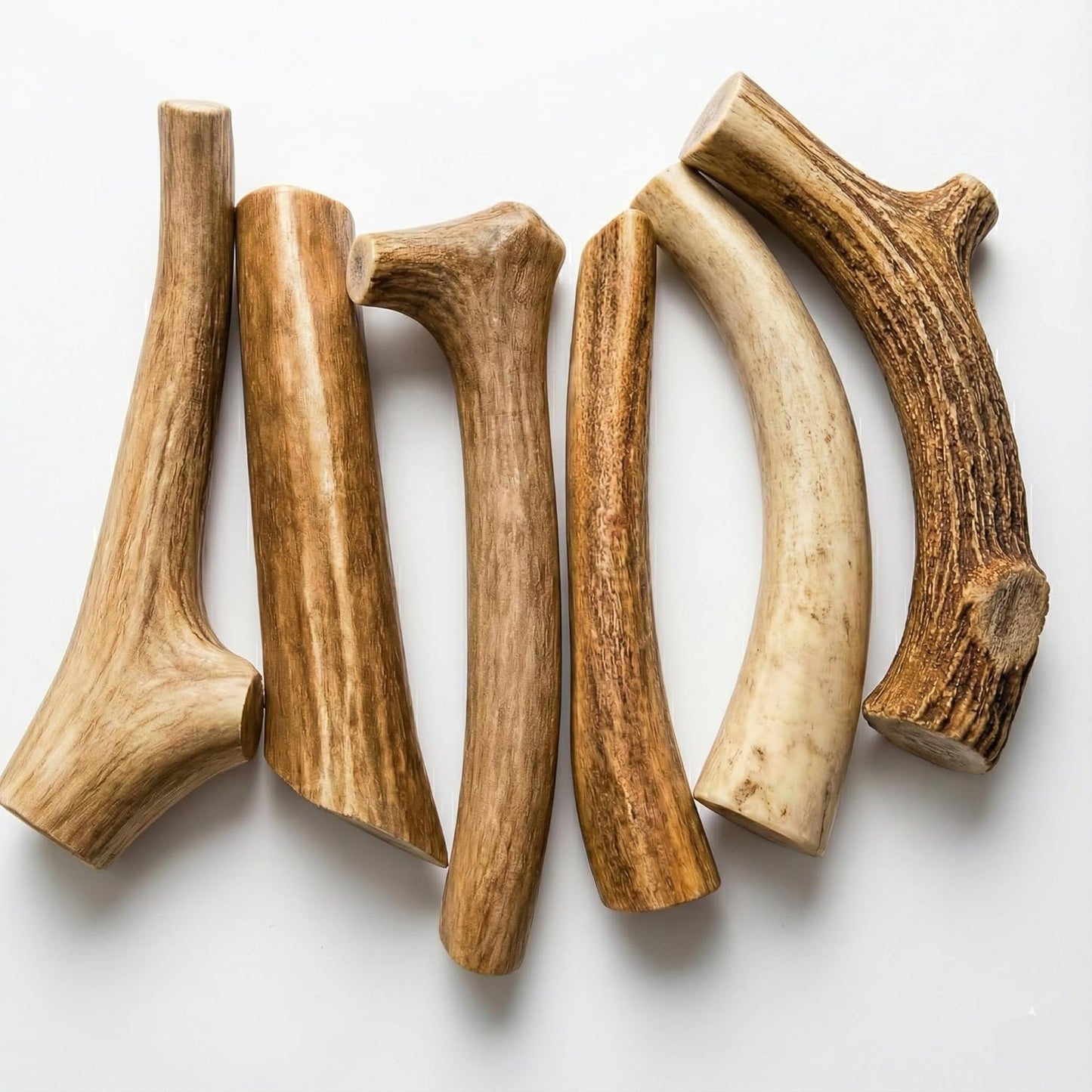 Whitetail Naturals Whole Deer Antler Dog Chews for Small & Medium Dogs – Natural Shed Antler Chew, Long Lasting Bone for Puppies and Smaller Breeds - Made in the USA